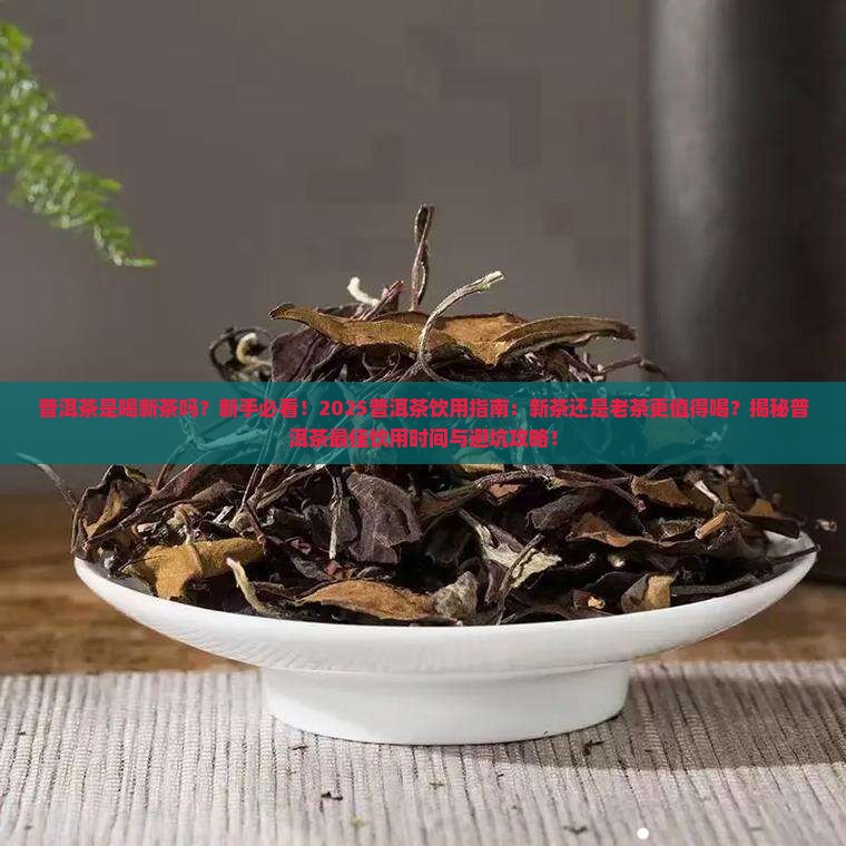 普洱茶是喝新茶