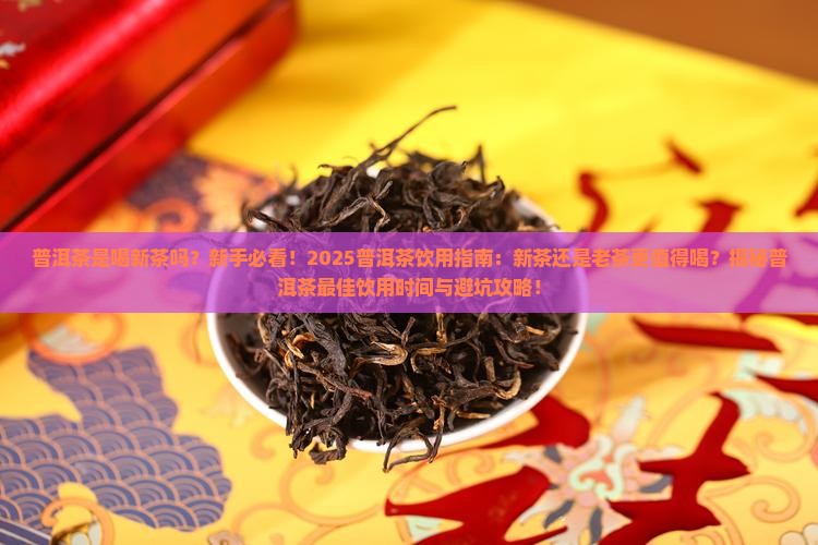 普洱茶是喝新茶