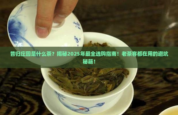 昔归庄园是什么茶