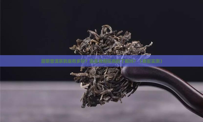 昆明普洱茶品质