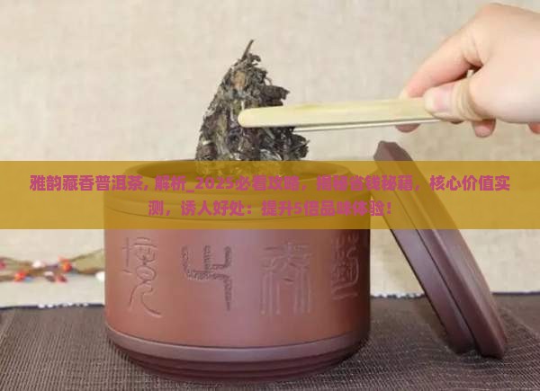 雅韵藏香普洱茶