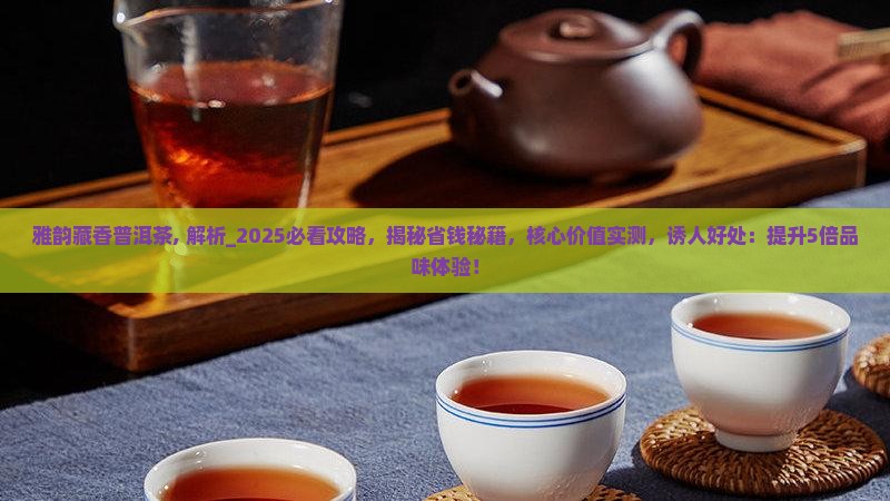 雅韵藏香普洱茶