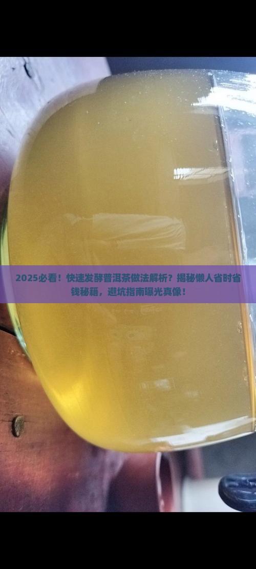 快速发酵普洱茶的做法