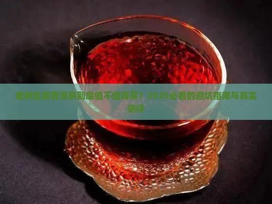 老树生茶普洱茶