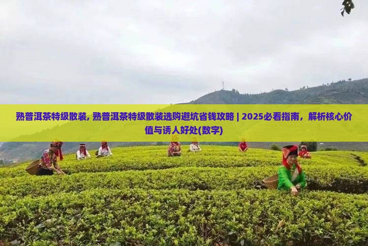 熟普洱茶特级散装