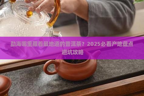 勐海都有啥普洱茶产地