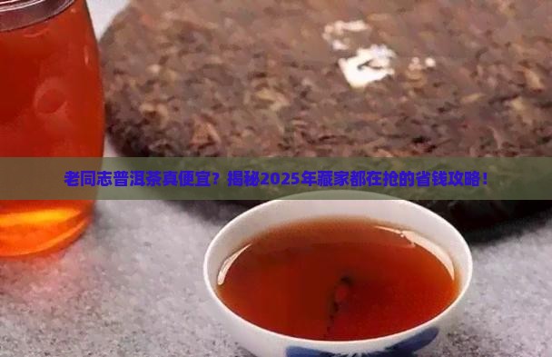 老同志普洱茶便宜