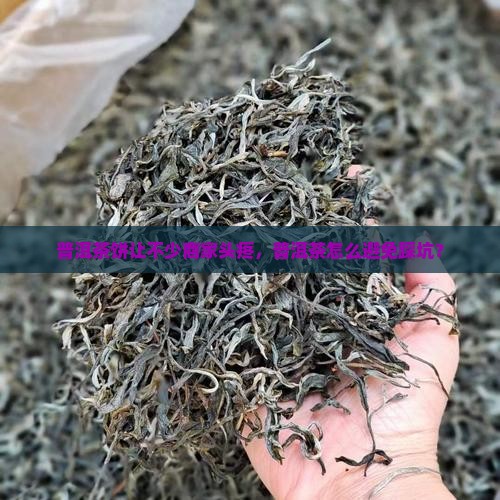 普洱茶饼坑了不少商家怎么办