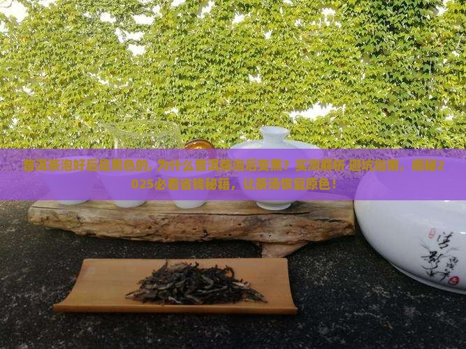 普洱茶泡好后是黑色的