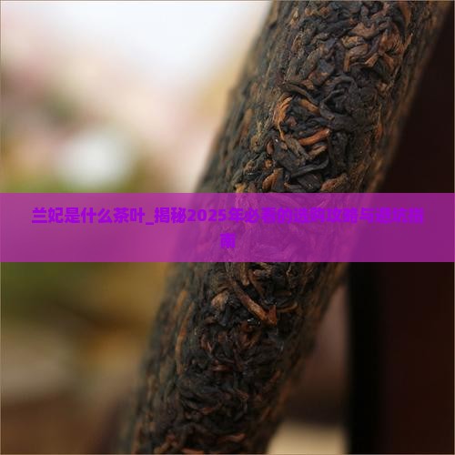 兰妃是什么茶叶