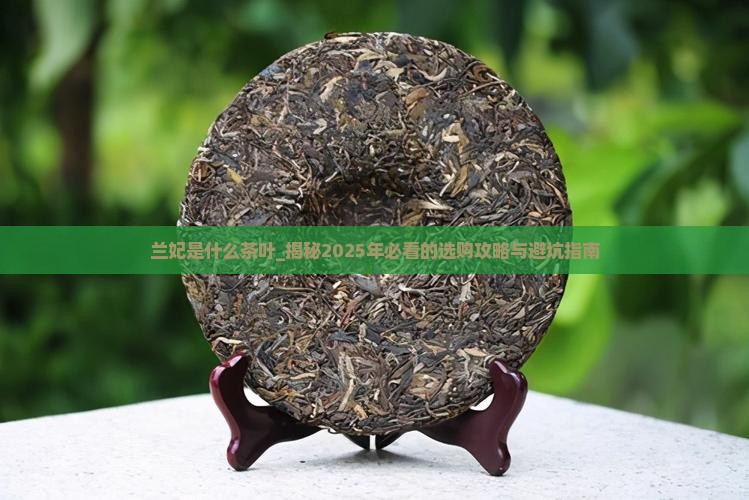兰妃是什么茶叶