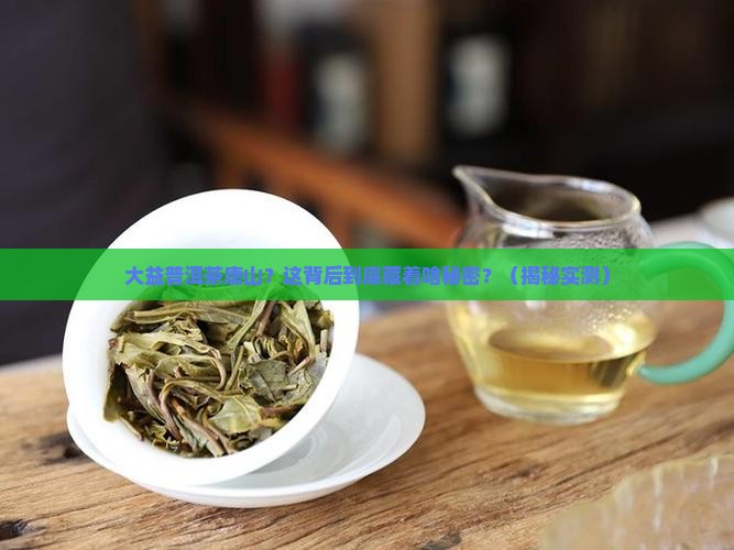 大益普洱茶唐山
