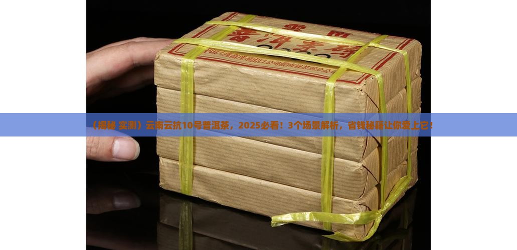 云南云抗10号普洱茶