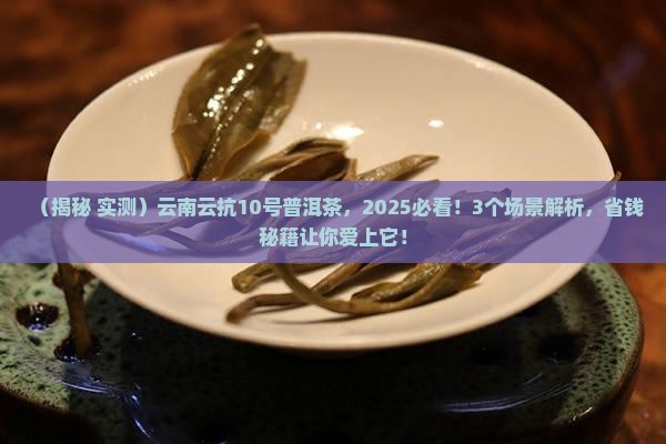 云南云抗10号普洱茶