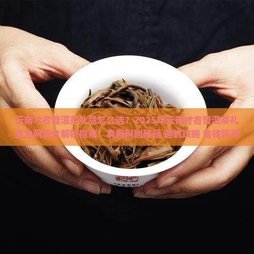 云南才者普洱茶礼品