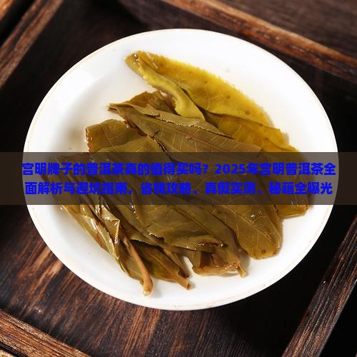 宫明牌子的普洱茶