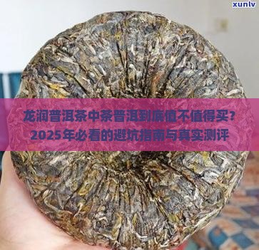 龙润普洱茶中茶普洱