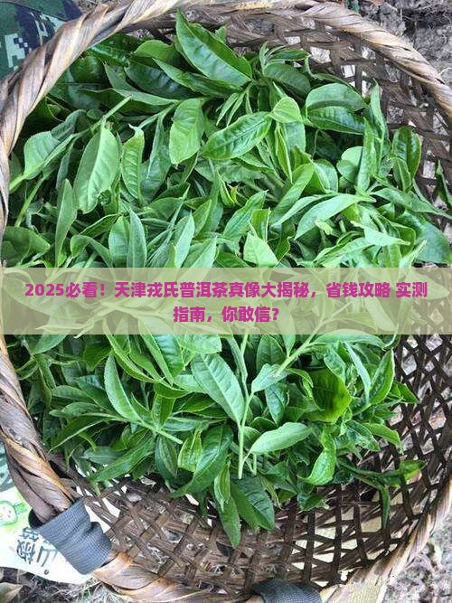 戎氏普洱茶天津专卖