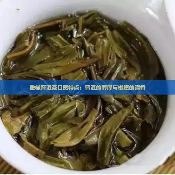 橄榄树普洱茶口感特点