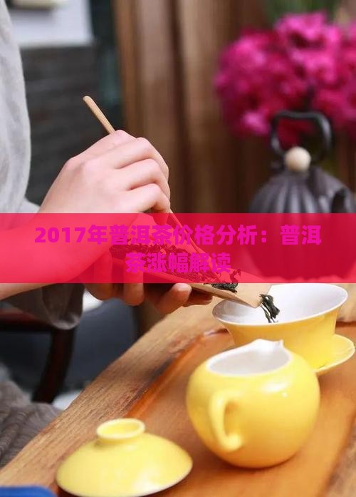 2017年普洱茶涨幅