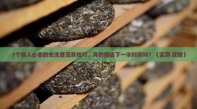 免洗普洱茶技术