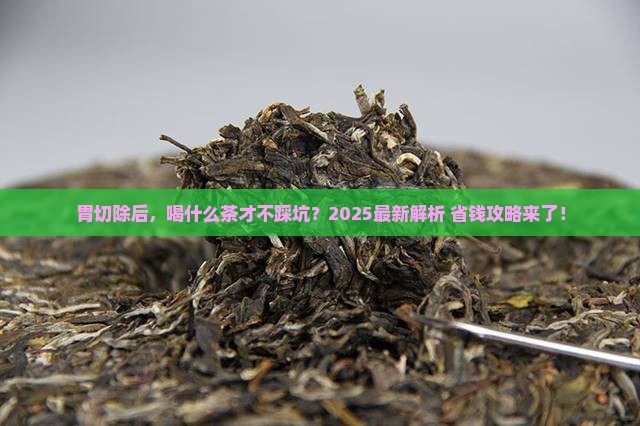 胃切除适合喝什么茶