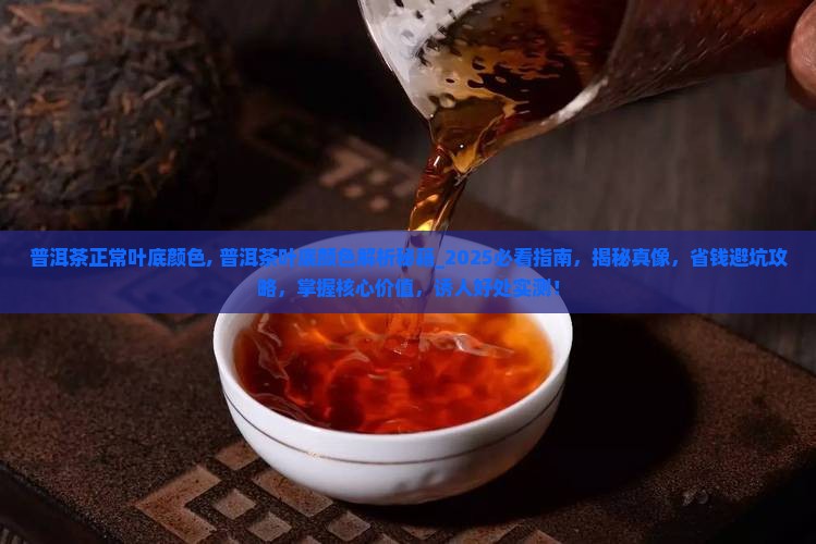 普洱茶正常叶底颜色