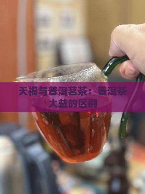 天福和大益的普洱茶区别