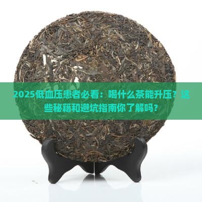 低血压平常喝什么茶好