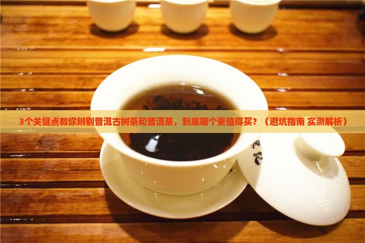 普洱古树茶和普洱茶
