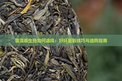 普洱茶生熟如何选择