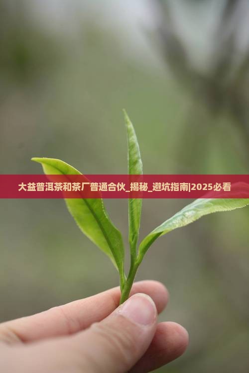 大益普洱茶和茶厂普通合伙