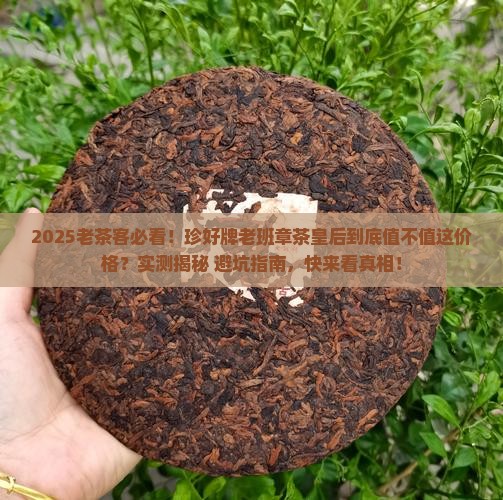 珍好牌老班章茶皇后