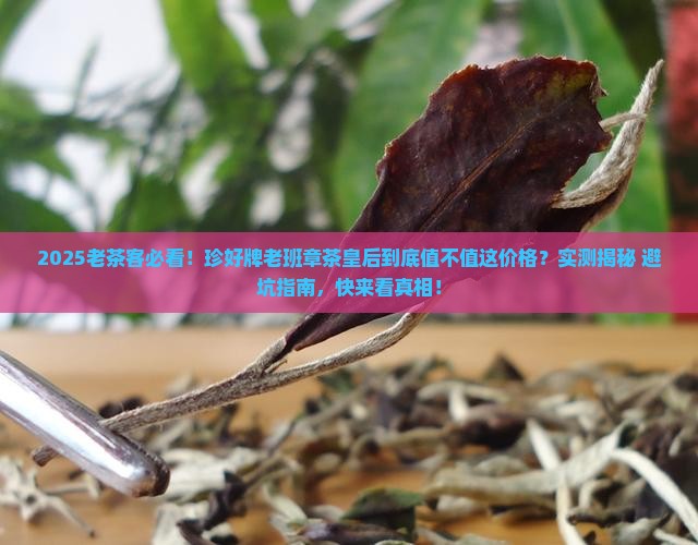 珍好牌老班章茶皇后