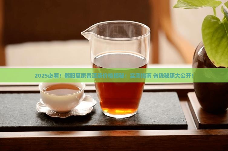 鄱阳夏家开普洱茶价格表