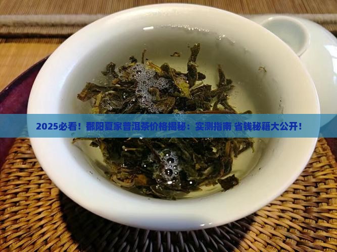 鄱阳夏家开普洱茶价格表