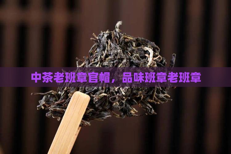 中茶老班章官帽