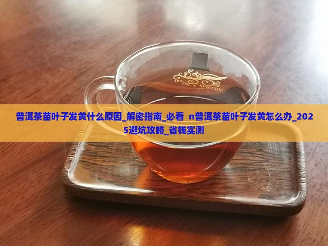 普洱茶苗叶子发黄什么原因 普洱茶苗叶子发黄什么原因