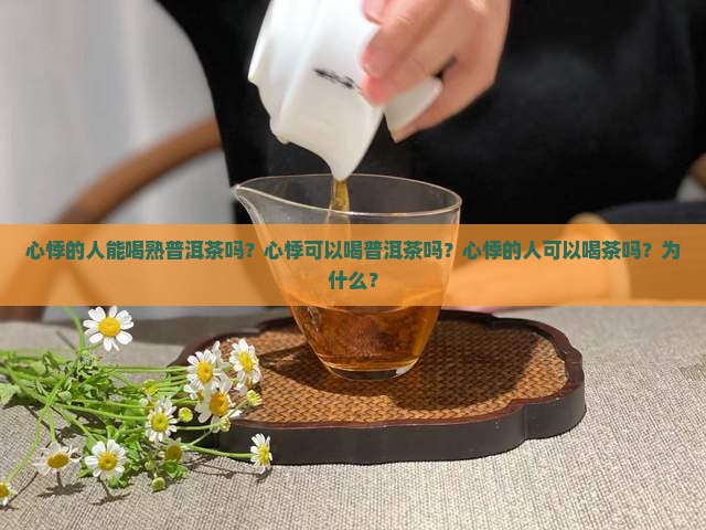 心悸的人能喝熟普洱茶吗