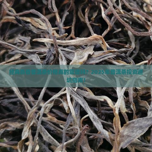 经典陈香普洱茶价格