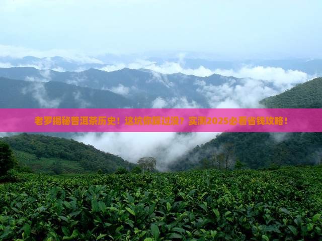 老罗说普洱茶历史