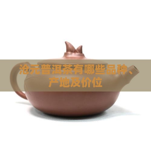 沧元普洱茶有哪些