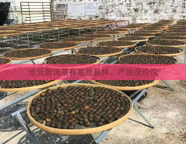 沧元普洱茶有哪些