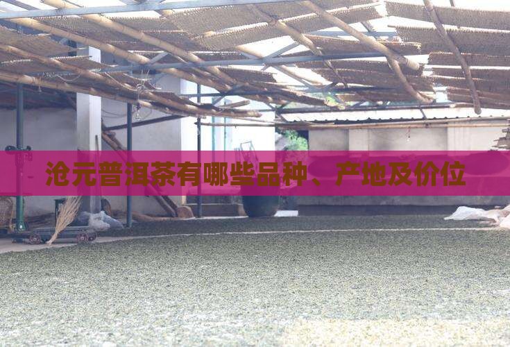 沧元普洱茶有哪些