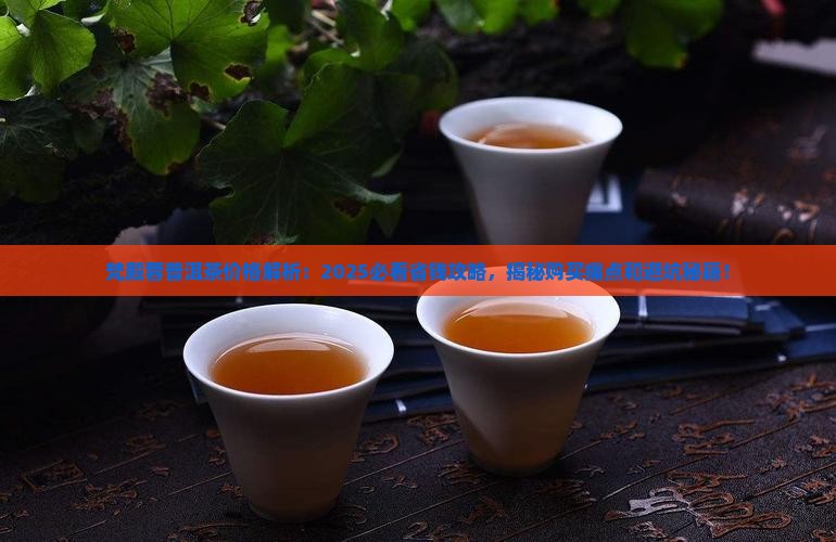 梵殿蓉普洱茶价格