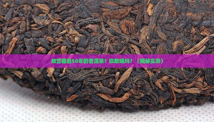 故宫的最老普洱茶介绍