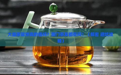 大益茶鼠饼价格厦门大益鼠饼