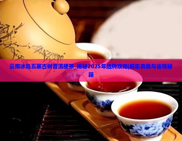 云南冰岛五寨古树普洱梗茶