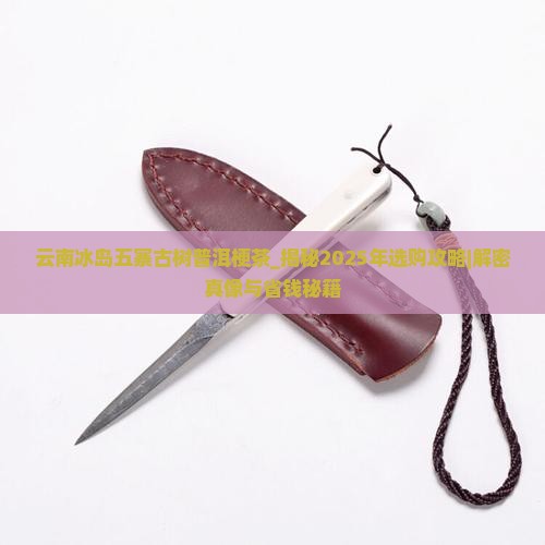 云南冰岛五寨古树普洱梗茶