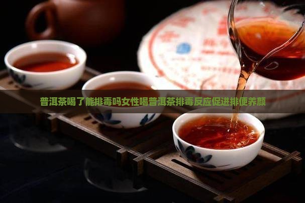 普洱茶喝了能排毒吗